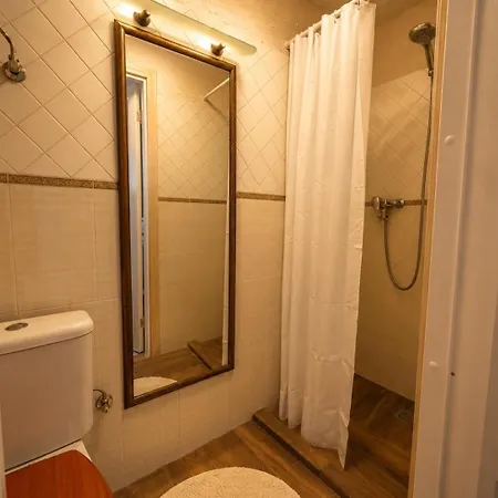 Vilniaus Street Center Apartment *